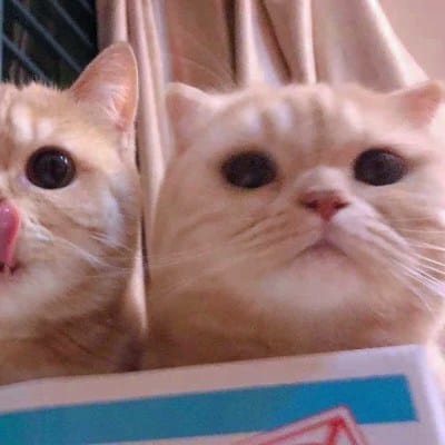 Trần Thị Kim avatar