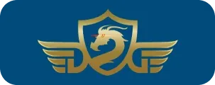 NAPAS logo